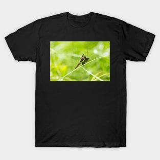 Enter The Dragon T-Shirt